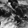 sobierajartur366