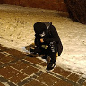 VIKTOR09
