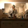 elastriko