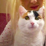 Roxanne332
