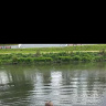 tatarskiserc