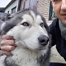witoldwieczorkie46