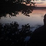 Brzezin83