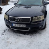 buli31025