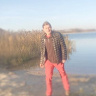 avealex