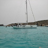 nygus86081986