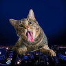 xear3d5