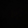 pavel201231995