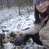 SenNocyLetniej
