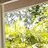 Raimond80