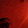 nostrepatre