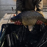 karolbabirecki1995