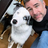 patrickboulanger10