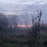 Zygzakowata