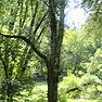 pawelszczepakowski