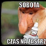 Jasio45