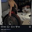 Snatemember1312