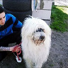 Czarny0013