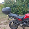 TOMASZ264077