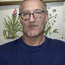 Michalirek
