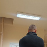 Janusz411