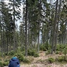 walczakpiotr53