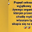 SamotnyMaciek85