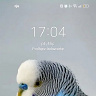 Rafal76479