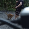 baju1978