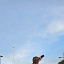 rysionowak577
