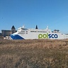 Stefkodrzewko
