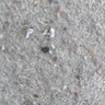 Wojtas23rere