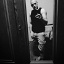 Tomek87eu