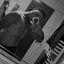 filipdanielsulew27