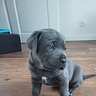Norbert2107