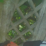 Puciol12