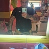 Domi7556