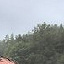 celanowski890