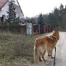 sebusputz50u