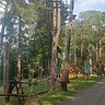 wieczniezduty