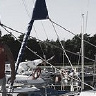 Bogdan07