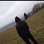 marek13243