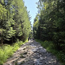 lukaszandr