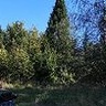 kamilhanderek1112
