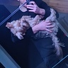 Dominikkk011