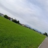 tomekfilix