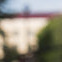 Lobuz113