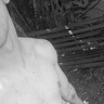 darek30335