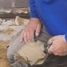steinbornradosla86