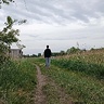 nikodemc8y